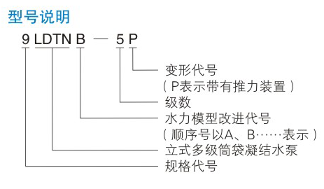 LDTN型凝污到下面流水的视频