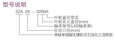 ZE型石油化工流程泵